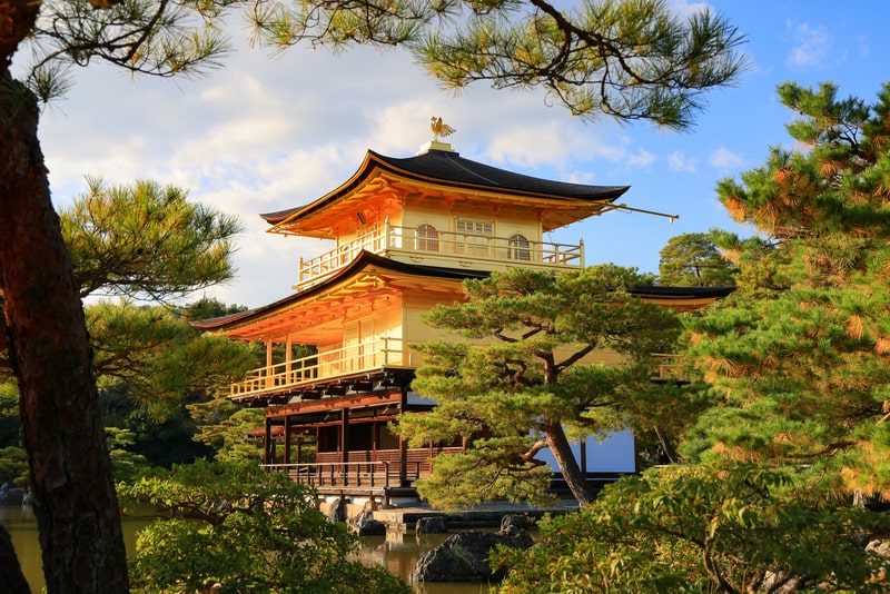 Visiting Kyoto’s Golden Pavilion, Kinkakuji, with Japan Youth Travel, we were captivated by its stunning golden glow amidst lush gardens.